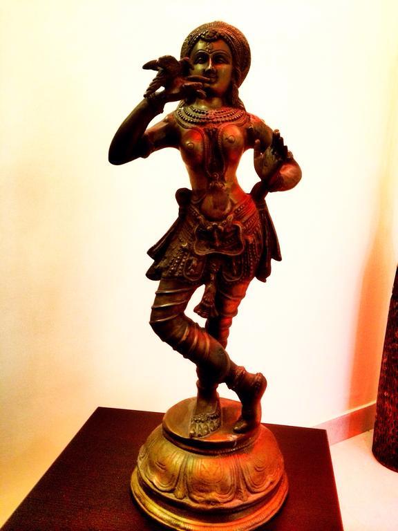 The Buddhayan Villa ชัยปุระ ภายนอก รูปภาพ